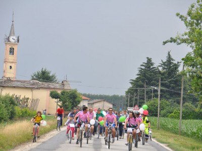 2011 - Pedalacavour