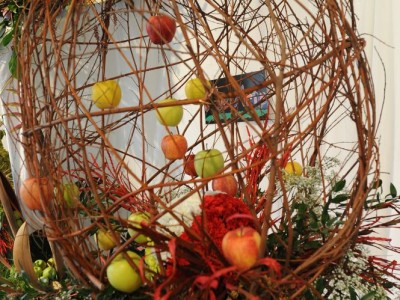 2011 - Tuttomele (Ph S. Ron - M. De Stefano)