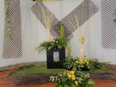 2011 - Tuttomele (Ph S. Ron - M. De Stefano)