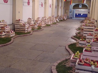 2011 - Tuttomele (Ph S. Ron - M. De Stefano)