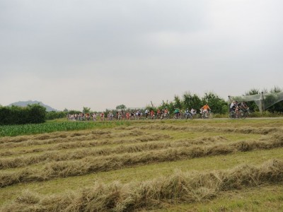 2012  - Pedalacavour