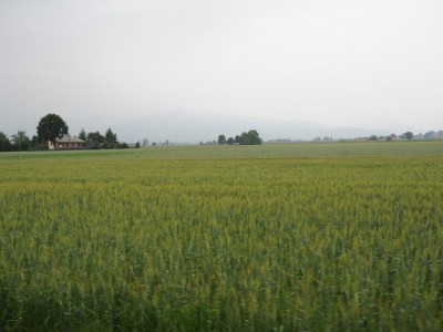 2012  - Pedalacavour