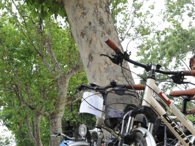2012  - Pedalacavour