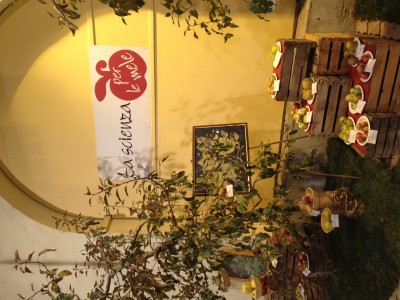 2013 - Tuttomele