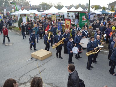 2013 - Tuttomele