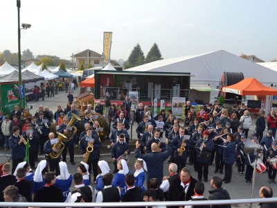 2013 - Tuttomele