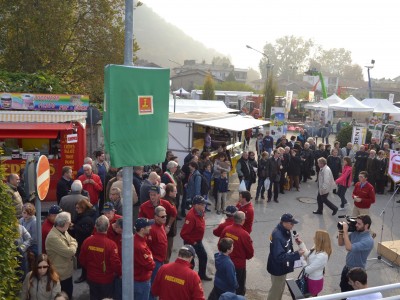 2013 - Tuttomele