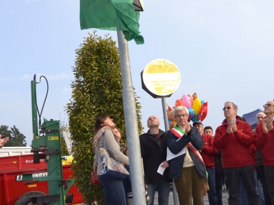 2013 - Tuttomele