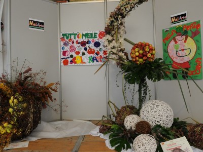 2013 - Tuttomele