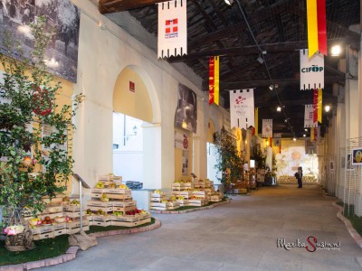 2014 - Tuttomele (Ph M. Susinni) / La Fiera