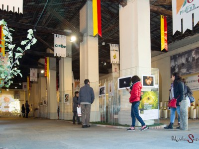 2014 - Tuttomele (Ph M. Susinni) / La Fiera