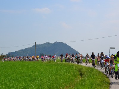 2015 - Pedala Cavour
