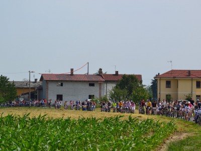 2015 - Pedala Cavour