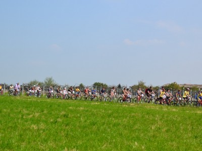 2015 - Pedala Cavour