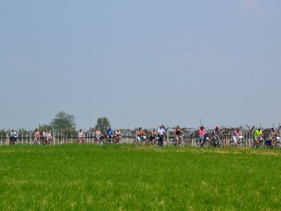 2015 - Pedala Cavour
