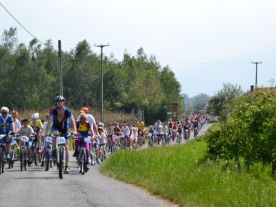 2015 - Pedala Cavour