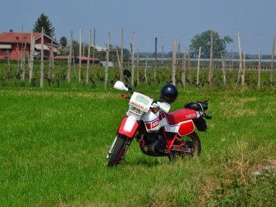 2015 - Pedala Cavour