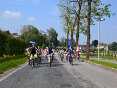 2015 - Pedala Cavour