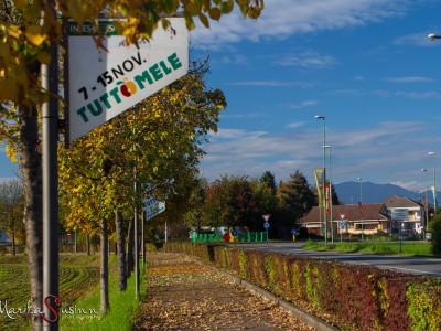 2015 - Tuttomele / 2015 Tuttomele Cavour (Ph. Marika Susinni)