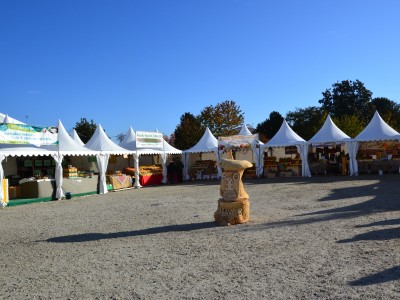 2016 - Tuttomele (Ph L Bruno e M De Stefano)