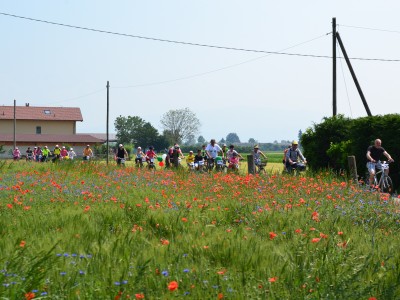 2019 - Pedalacavour (Ph L Bruno)