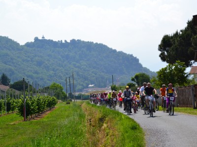 2019 - Pedalacavour (Ph L Bruno)