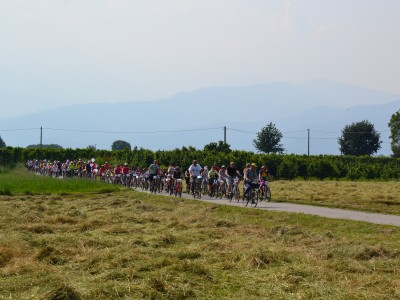 2019 - Pedalacavour (Ph L Bruno)