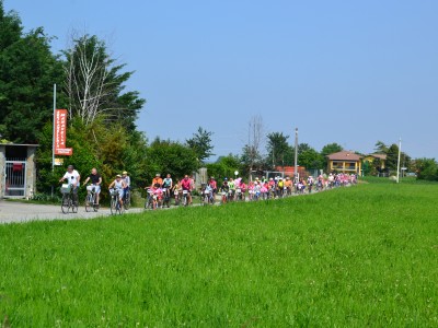 2019 - Pedalacavour (Ph L Bruno)