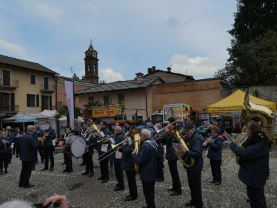 2019 - Tuttomele