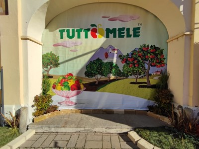2021 - Tuttomele