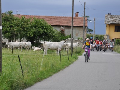 2024 - Pedalacavour (Ph. De Stefano M.)