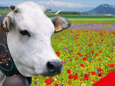 Ritorna Cavour Carne di Razza Piemontese