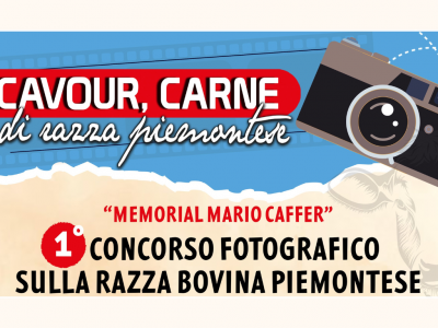 Concorso fotografico