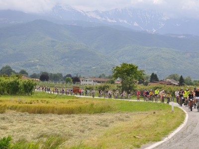PedalaCavour 