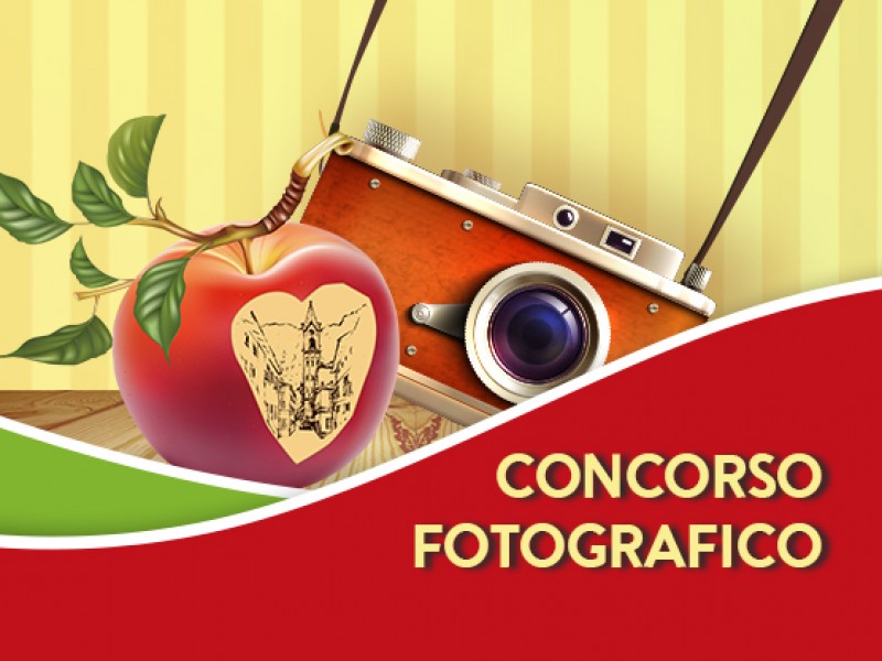 Concorso fotografico 2018 / 2019