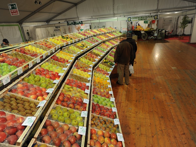 Frutticoltori 2024