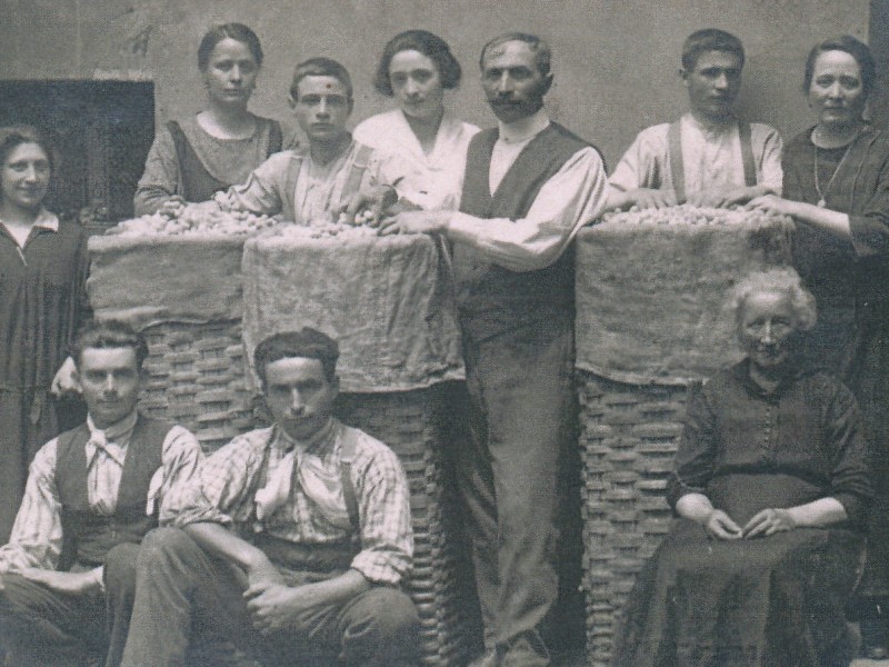 99 - Il baco da seta a Cavour