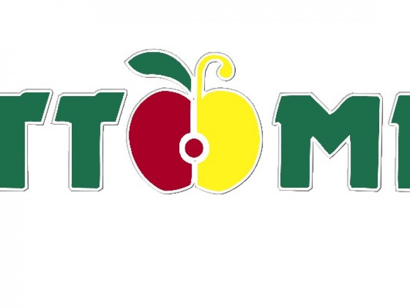 LOGO TUTTOMELE