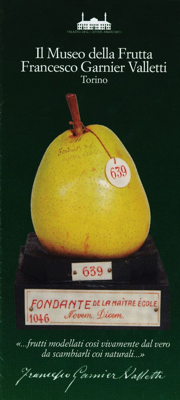 83 - Anche le mele di Garnier-Valletti nella rinascita economica del Piemonte che preluse al Risorgimento